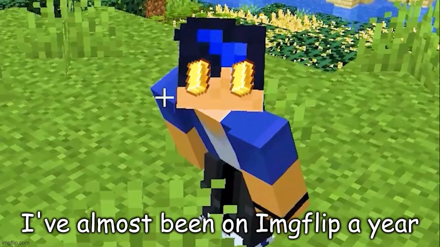 Ein Gold | I've almost been on Imgflip a year | image tagged in ein gold | made w/ Imgflip meme maker