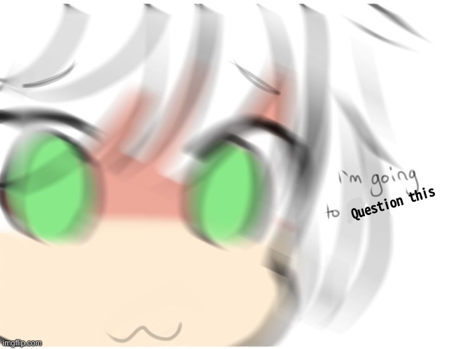 I'm going to the bathroom | Question this | image tagged in i'm going to the bathroom | made w/ Imgflip meme maker