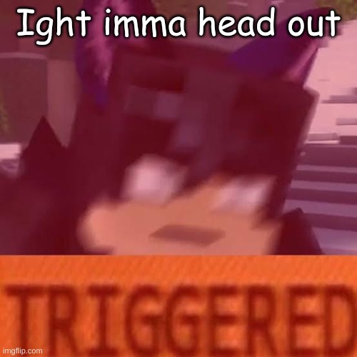 Ein triggered | Ight imma head out | image tagged in ein triggered | made w/ Imgflip meme maker