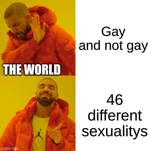 No offense I just think its silly | Gay and not gay; THE WORLD; 46 different sexualitys | image tagged in memes,drake hotline bling,political | made w/ Imgflip meme maker