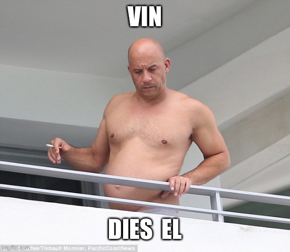 Fat Vin Diesel | VIN; DIES  EL | image tagged in fat vin diesel | made w/ Imgflip meme maker