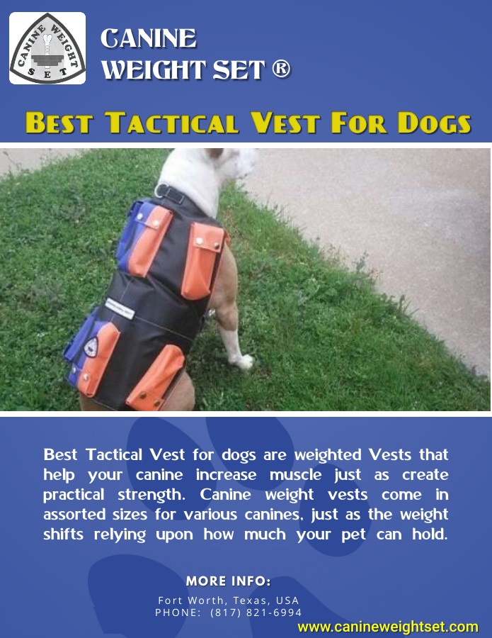 Best tactical vest for dogs Blank Meme Template