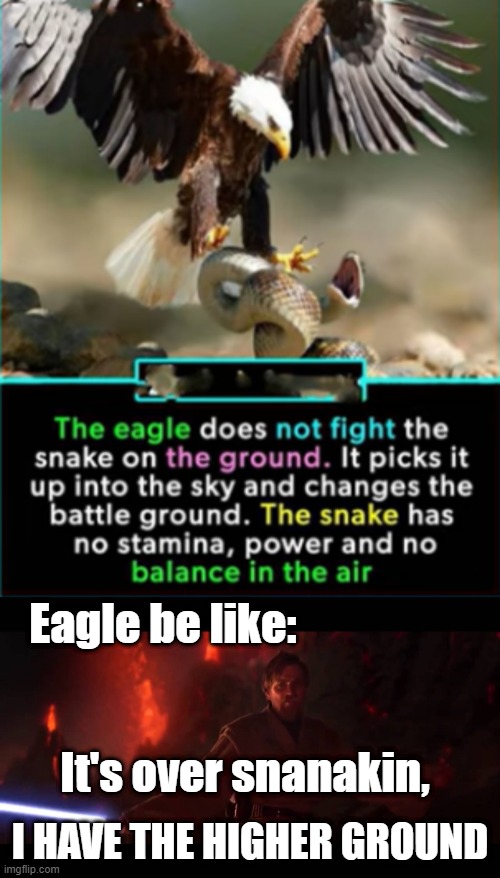 Eagiwan |  Eagle be like:; It's over snanakin, I HAVE THE HIGHER GROUND | image tagged in higher ground | made w/ Imgflip meme maker