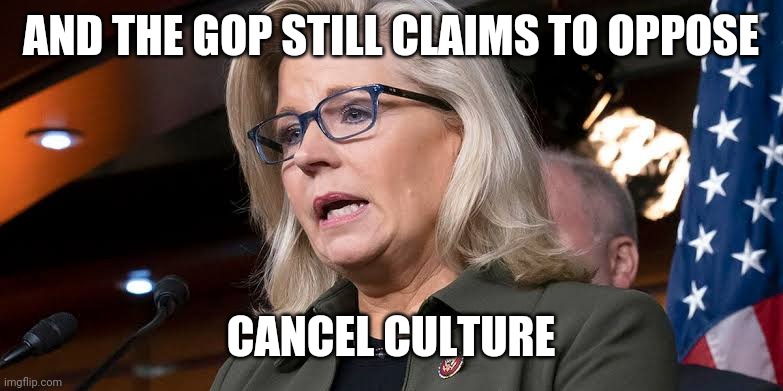 Major hypocrisy detected | AND THE GOP STILL CLAIMS TO OPPOSE; CANCEL CULTURE | image tagged in liz cheney | made w/ Imgflip meme maker