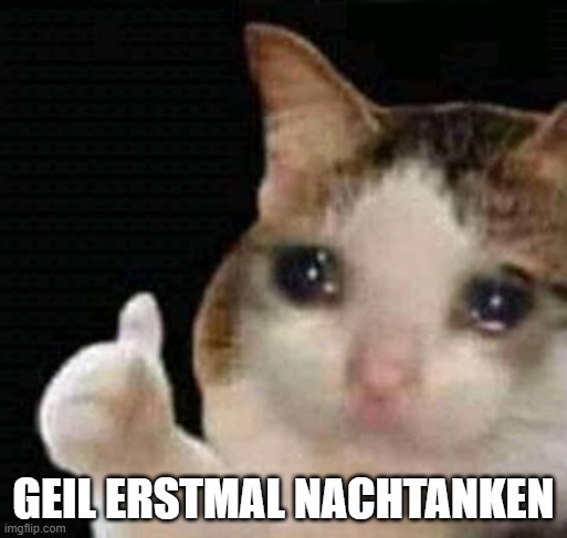 sad thumbs up cat | GEIL ERSTMAL NACHTANKEN | image tagged in sad thumbs up cat | made w/ Imgflip meme maker