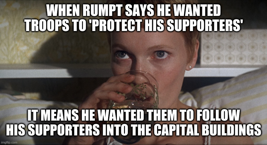 You know, dictator-style | WHEN RUMPT SAYS HE WANTED TROOPS TO 'PROTECT HIS SUPPORTERS'; IT MEANS HE WANTED THEM TO FOLLOW HIS SUPPORTERS INTO THE CAPITAL BUILDINGS | image tagged in rosemary,coup | made w/ Imgflip meme maker