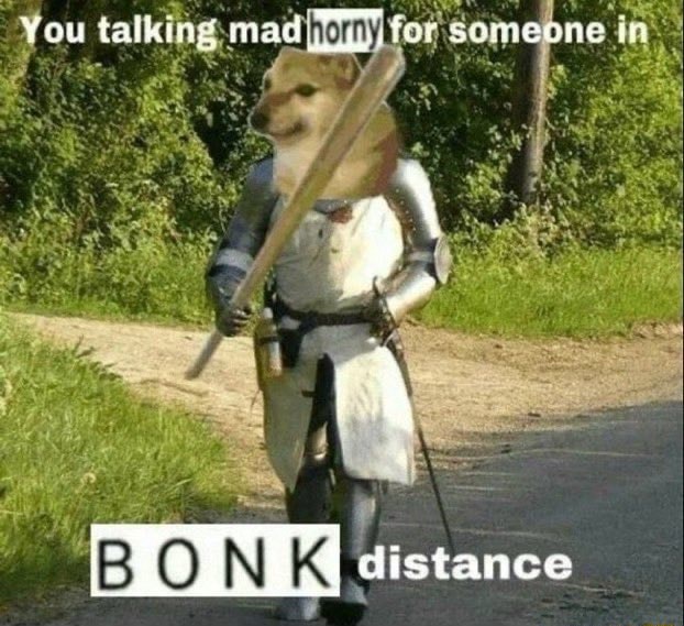 High Quality you in bonk distance ( your reason why) Blank Meme Template