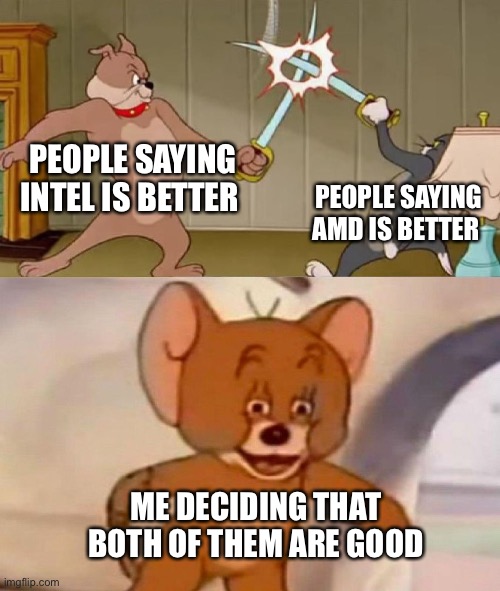 It’s true | PEOPLE SAYING INTEL IS BETTER; PEOPLE SAYING AMD IS BETTER; ME DECIDING THAT BOTH OF THEM ARE GOOD | image tagged in tom and jerry swordfight,amd vs intel | made w/ Imgflip meme maker
