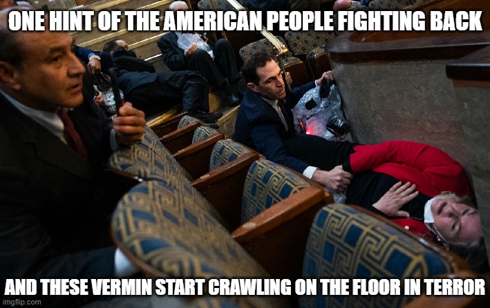 ONE HINT OF THE AMERICAN PEOPLE FIGHTING BACK; AND THESE VERMIN START CRAWLING ON THE FLOOR IN TERROR | made w/ Imgflip meme maker