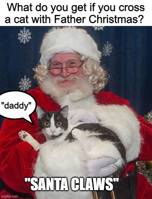 a cat with Father | What do you get if you cross a cat with Father Christmas? "daddy"; "SANTA CLAWS" | image tagged in santa claus | made w/ Imgflip meme maker
