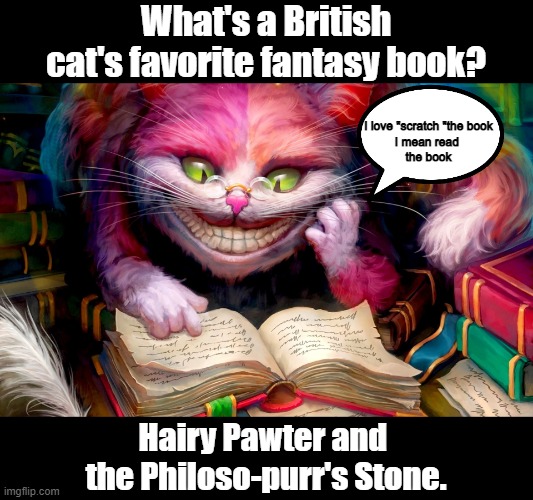 cat's favorite book | What's a British cat's favorite fantasy book? I love "scratch "the book
I mean read 
the book; Hairy Pawter and 
the Philoso-purr's Stone. | image tagged in funny cats | made w/ Imgflip meme maker