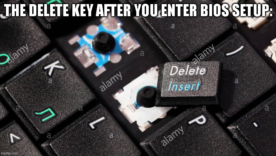 Delete Key | THE DELETE KEY AFTER YOU ENTER BIOS SETUP: | image tagged in bios,gaming,pc,mac,laptop,keyboard | made w/ Imgflip meme maker