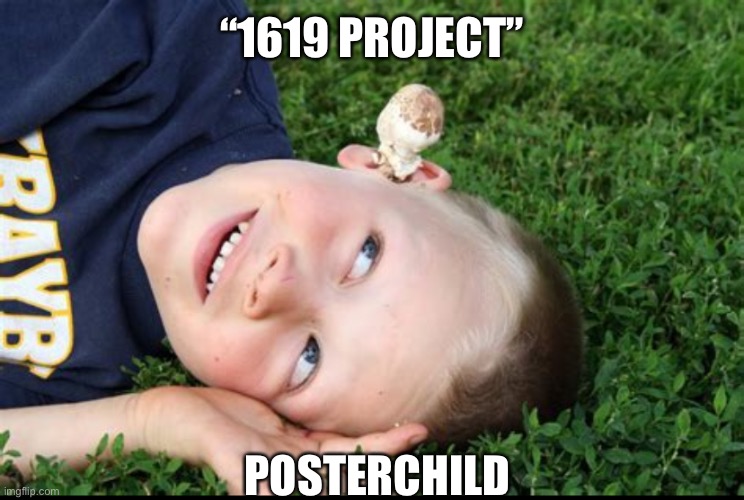 Made in Israel | “1619 PROJECT”; POSTERCHILD | image tagged in memes,jews,mind control,white people,wake up,we're all doomed | made w/ Imgflip meme maker