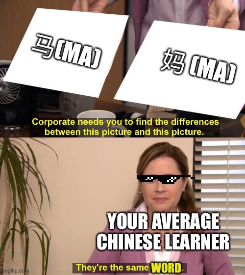 Tones are important! | 马(MA); 妈 (MA); YOUR AVERAGE CHINESE LEARNER; WORD | image tagged in they are the same picture | made w/ Imgflip meme maker
