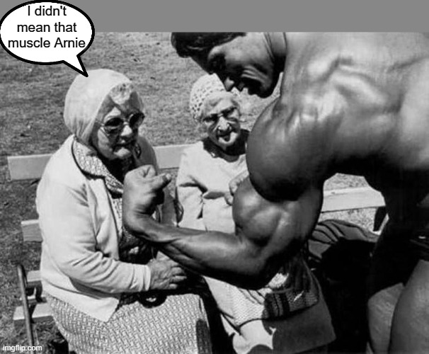 Scharzenegger shows off his muscle! | I didn't mean that muscle Arnie | image tagged in arnold schwarzenegger | made w/ Imgflip meme maker
