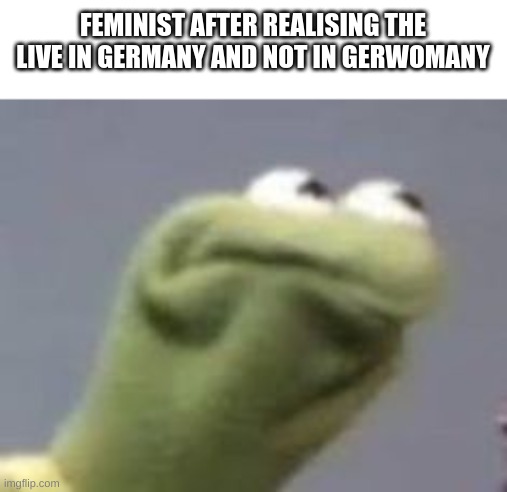 Gerwomany | FEMINIST AFTER REALISING THE LIVE IN GERMANY AND NOT IN GERWOMANY | image tagged in kirmets angry face | made w/ Imgflip meme maker