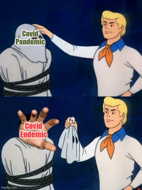 covid-19 | Covid 
Pandemic; Covid 
Endemic | image tagged in scooby doo mask reveal | made w/ Imgflip meme maker