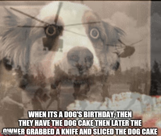 ptsd muffin dog | WHEN ITS A DOG'S BIRTHDAY, THEN THEY HAVE THE DOG CAKE THEN LATER THE OWNER GRABBED A KNIFE AND SLICED THE DOG CAKE | image tagged in ptsd muffin dog | made w/ Imgflip meme maker