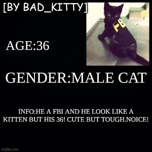 FBI cat | [BY BAD_KITTY]; AGE:36; GENDER:MALE CAT; INFO:HE A FBI AND HE LOOK LIKE A KITTEN BUT HIS 36! CUTE BUT TOUGH.NOICE! | image tagged in why is the fbi here,roleplaying,here we go again | made w/ Imgflip meme maker