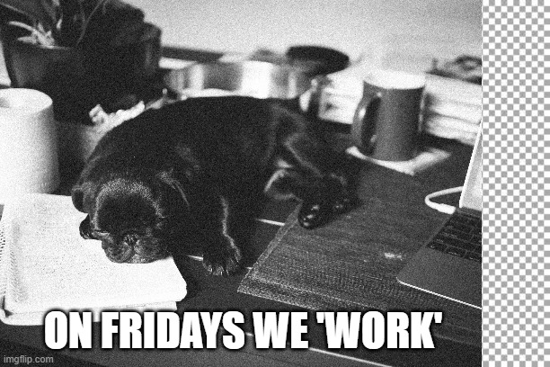 Sleepy Friday | ON FRIDAYS WE 'WORK' | image tagged in pug,friday,sleepy | made w/ Imgflip meme maker