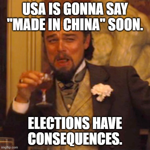 Sad but True..... | USA IS GONNA SAY "MADE IN CHINA" SOON. ELECTIONS HAVE CONSEQUENCES. | image tagged in memes,laughing leo | made w/ Imgflip meme maker