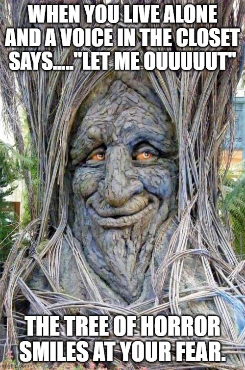 Never tempt the tree of horror | WHEN YOU LIVE ALONE AND A VOICE IN THE CLOSET SAYS....."LET ME OUUUUUT"; THE TREE OF HORROR SMILES AT YOUR FEAR. | image tagged in horror | made w/ Imgflip meme maker