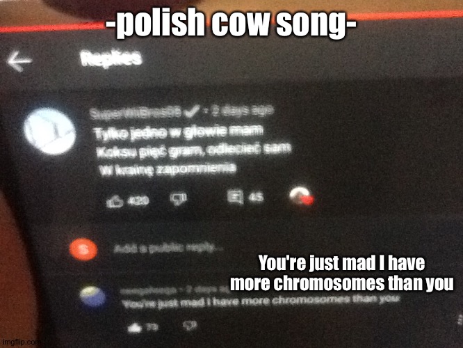 That burns | -polish cow song-; You're just mad I have more chromosomes than you | made w/ Imgflip meme maker