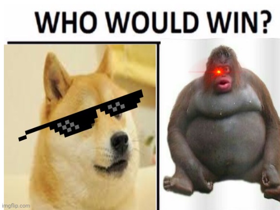 who would win? | image tagged in memes | made w/ Imgflip meme maker