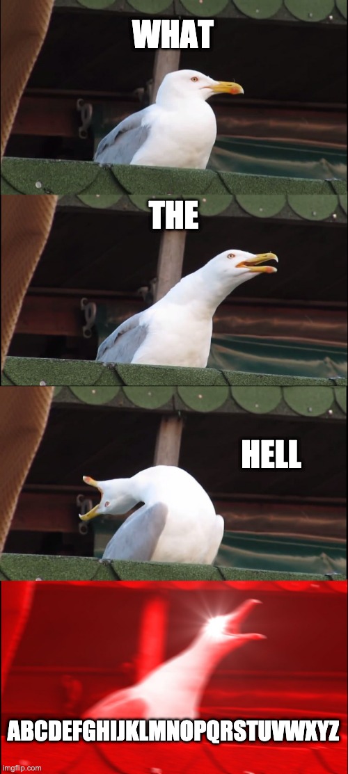 Say ABCDEFGHIJKLMNOPQRSTUVWXYZ really loud and quick | WHAT; THE; HELL; ABCDEFGHIJKLMNOPQRSTUVWXYZ | image tagged in memes,inhaling seagull,abc | made w/ Imgflip meme maker
