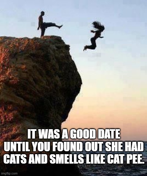 Kicking off Cliff | IT WAS A GOOD DATE UNTIL YOU FOUND OUT SHE HAD CATS AND SMELLS LIKE CAT PEE. | image tagged in kicking off cliff | made w/ Imgflip meme maker