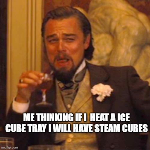 Laughing Leo | ME THINKING IF I  HEAT A ICE CUBE TRAY I WILL HAVE STEAM CUBES | image tagged in memes,laughing leo | made w/ Imgflip meme maker