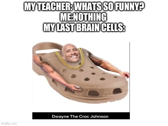 mwahahahahahaha | MY TEACHER: WHATS SO FUNNY?
ME:NOTHING 
MY LAST BRAIN CELLS: | image tagged in meme | made w/ Imgflip meme maker