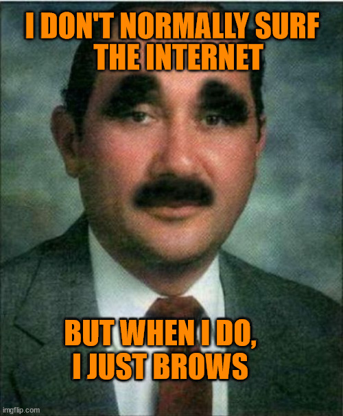 I DON'T NORMALLY SURF; THE INTERNET; BUT WHEN I DO,
I JUST BROWS | image tagged in eyeroll | made w/ Imgflip meme maker