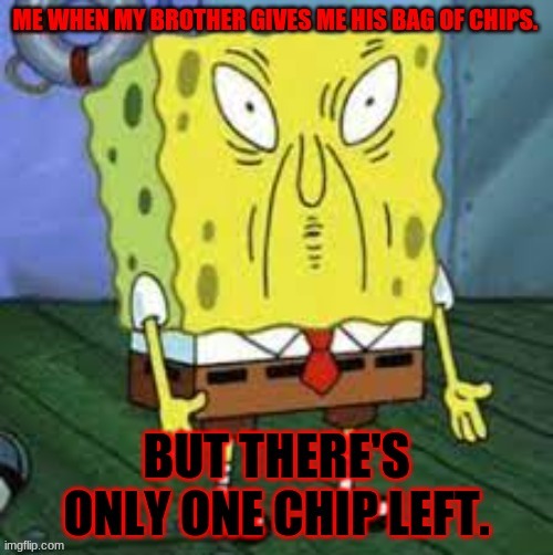 When there is no chips left | image tagged in spongebob,chips,family | made w/ Imgflip meme maker