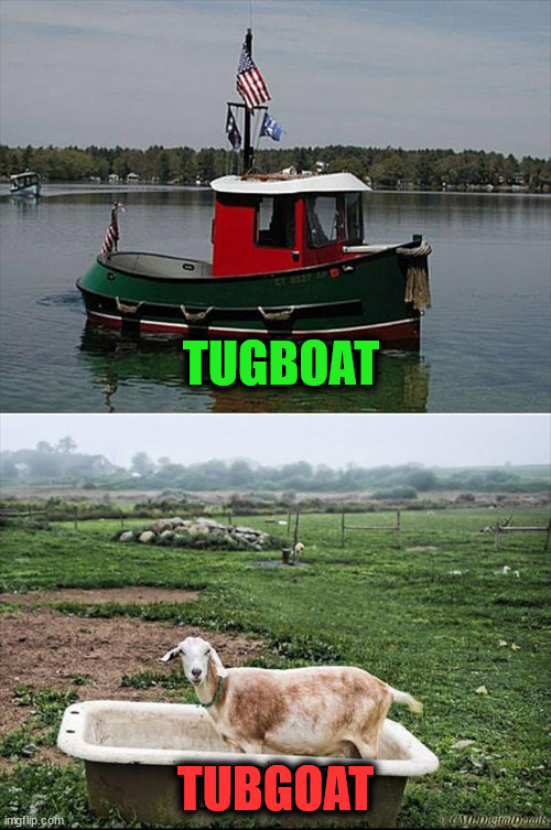 TUGBOAT; TUBGOAT | image tagged in eyeroll | made w/ Imgflip meme maker