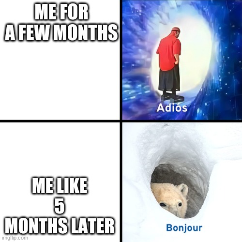 Adios Bonjour | ME FOR A FEW MONTHS; ME LIKE 5 MONTHS LATER | image tagged in adios bonjour | made w/ Imgflip meme maker