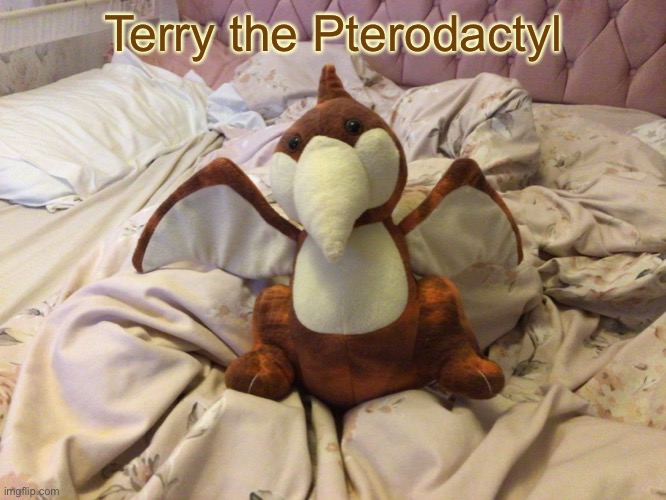 Terry the Pterodactyl | Terry the Pterodactyl | image tagged in ocs | made w/ Imgflip meme maker