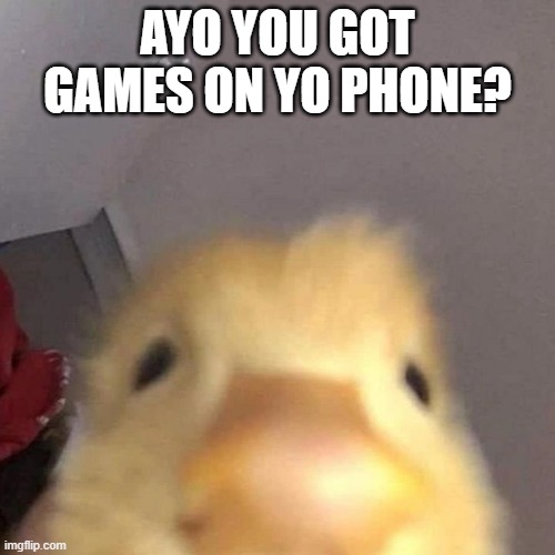little cousins be like | AYO YOU GOT GAMES ON YO PHONE? | image tagged in duck,family | made w/ Imgflip meme maker