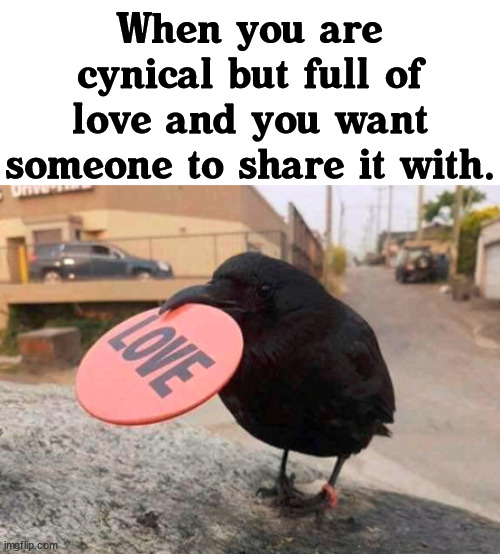 Cynical meme | When you are cynical but full of love and you want someone to share it with. | image tagged in love,sharing | made w/ Imgflip meme maker