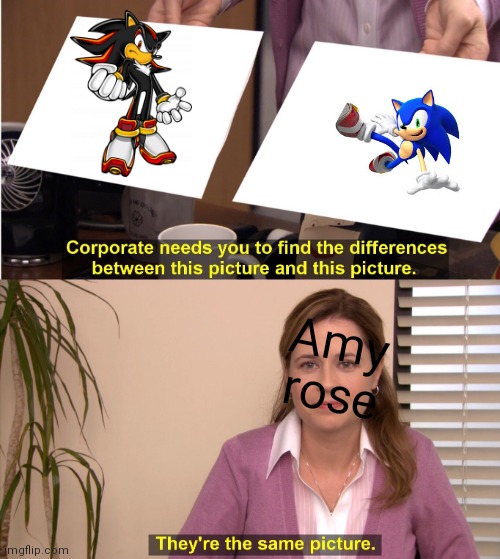 They're The Same Picture | Amy rose | image tagged in memes,they're the same picture | made w/ Imgflip meme maker