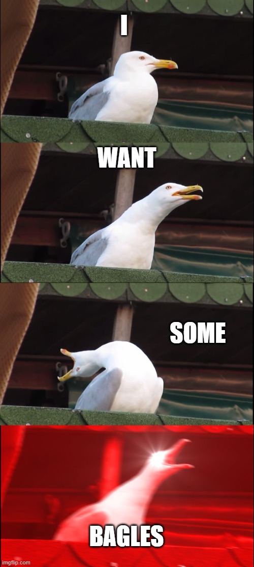 Inhaling Seagull | I; WANT; SOME; BAGLES | image tagged in memes,inhaling seagull | made w/ Imgflip meme maker