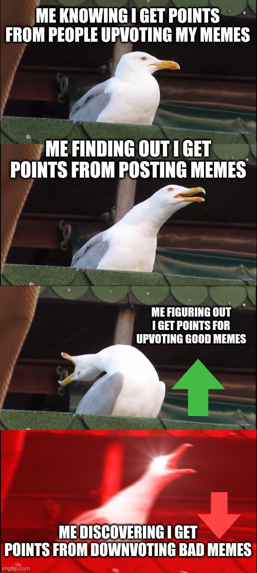 It's almost too good to be true | ME KNOWING I GET POINTS FROM PEOPLE UPVOTING MY MEMES; ME FINDING OUT I GET POINTS FROM POSTING MEMES; ME FIGURING OUT I GET POINTS FOR UPVOTING GOOD MEMES; ME DISCOVERING I GET POINTS FROM DOWNVOTING BAD MEMES | image tagged in memes,inhaling seagull,barney will eat all of your delectable biscuits | made w/ Imgflip meme maker