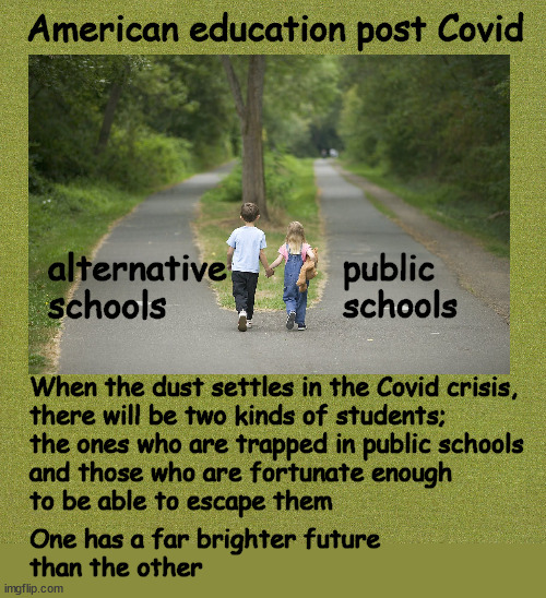 American education post Covid | American education post Covid; alternative
schools; public 
schools; When the dust settles in the Covid crisis, 
there will be two kinds of students; 
the ones who are trapped in public schools
and those who are fortunate enough 
to be able to escape them; One has a far brighter future
than the other | image tagged in politics | made w/ Imgflip meme maker