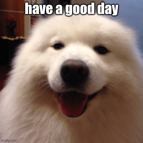 have a good day | image tagged in memes | made w/ Imgflip meme maker