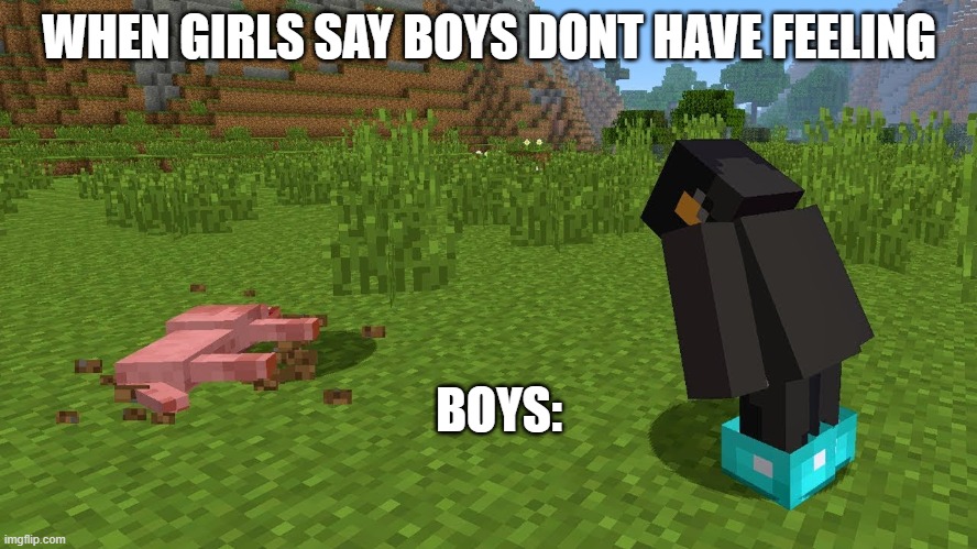 When your dog does oof | WHEN GIRLS SAY BOYS DONT HAVE FEELING; BOYS: | image tagged in minecraft | made w/ Imgflip meme maker