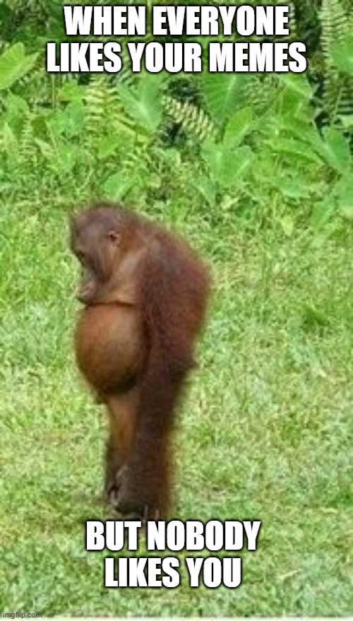 Sad Orangutan | WHEN EVERYONE LIKES YOUR MEMES; BUT NOBODY LIKES YOU | image tagged in sad orangutan,sad but true,memes | made w/ Imgflip meme maker
