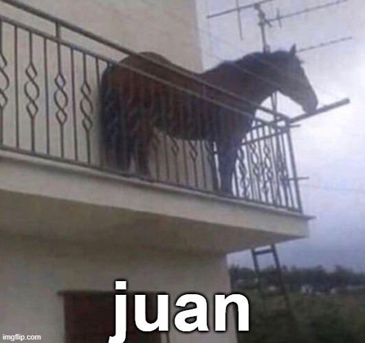 Juan | juan | image tagged in juan,memes,funny,h | made w/ Imgflip meme maker