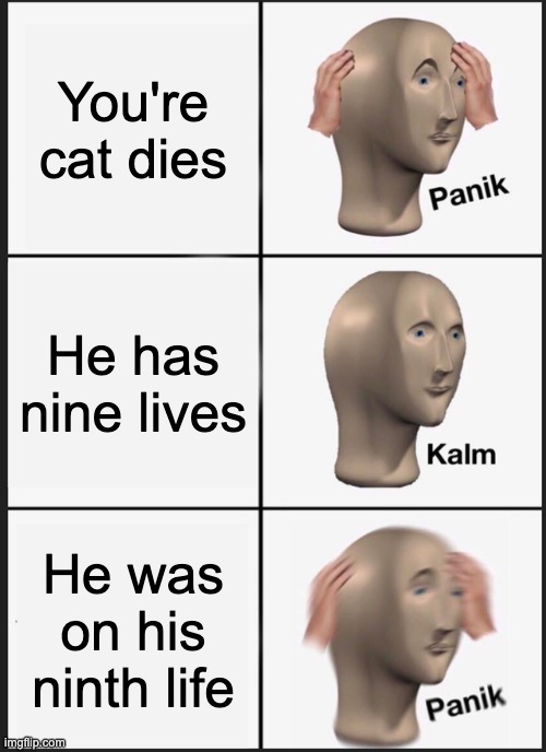 OH NO |  You're cat dies; He has nine lives; He was on his ninth life | image tagged in memes,panik kalm panik | made w/ Imgflip meme maker