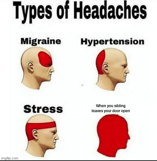 Types of Headaches meme | When you sibling leaves your door open | image tagged in types of headaches meme | made w/ Imgflip meme maker