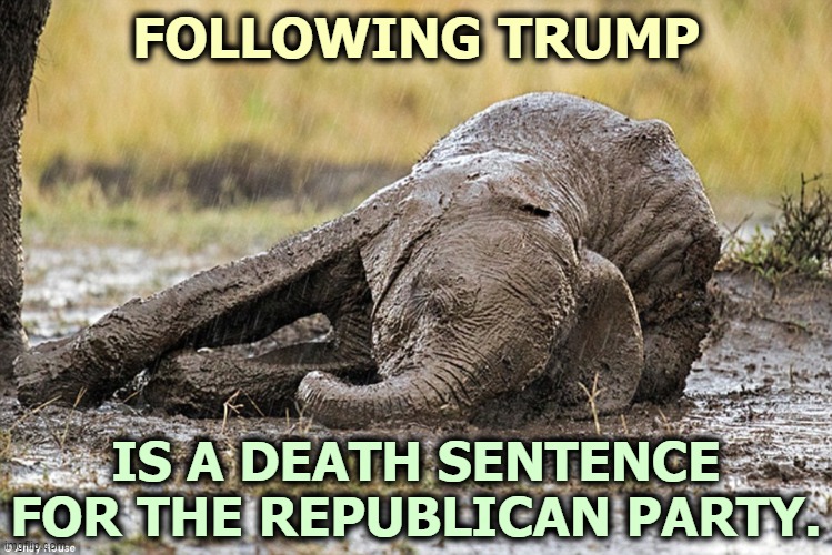 This way lies madness. | FOLLOWING TRUMP; IS A DEATH SENTENCE FOR THE REPUBLICAN PARTY. | image tagged in elephant gop republican party dying dead,trump,death,wish,gop,republican party | made w/ Imgflip meme maker